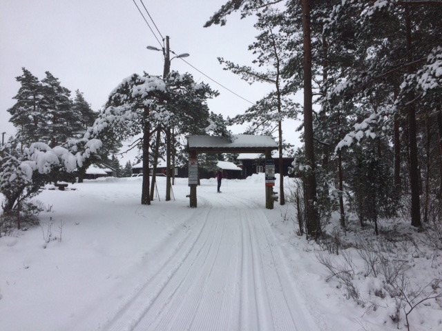 Fine skiforhold på Høiås