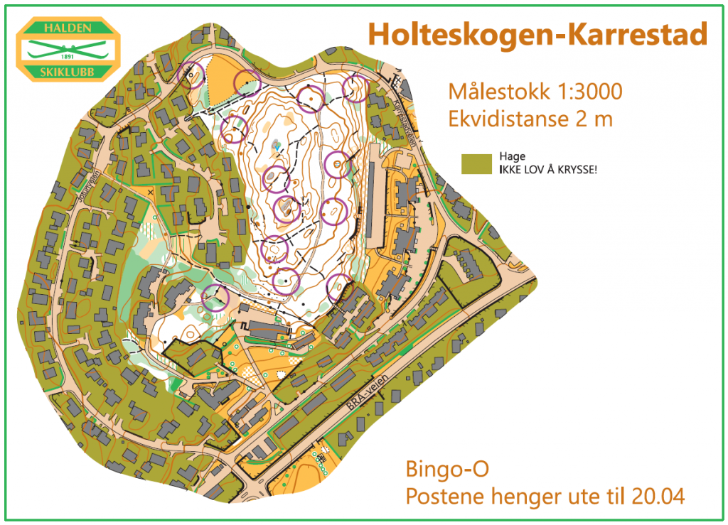 Bingo O I Holteskogen