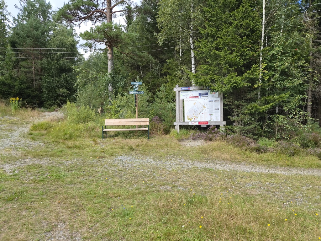Nye hvilebenker i lysløypa opp til Høiås