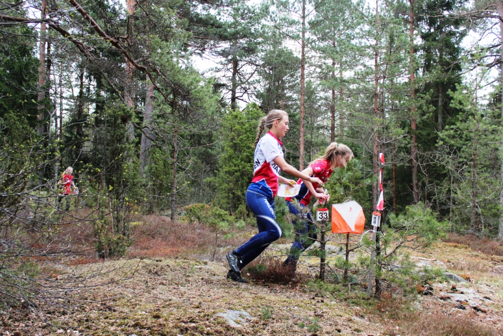 O-løp i Sport8serien - Varteig 15.05.2013 024 -A